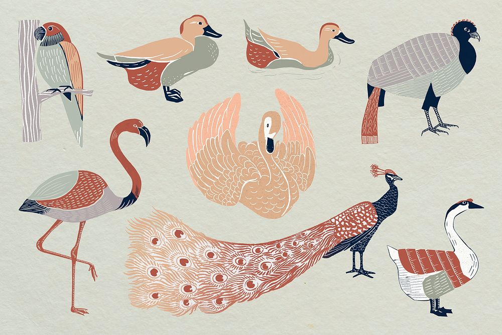Aesthetic birds illustration collage element set psd
