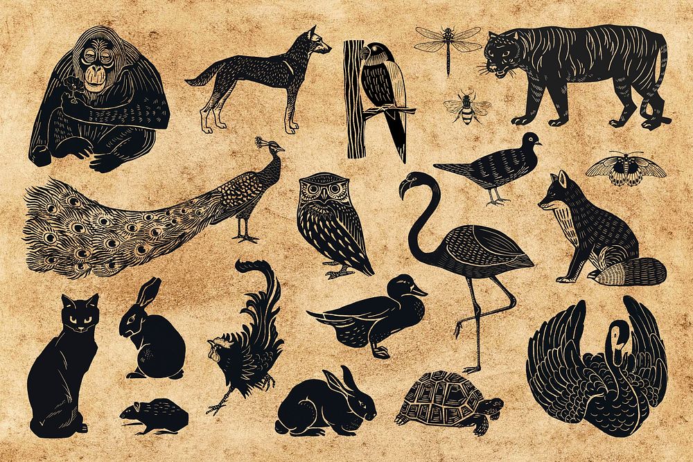 Vintage wildlife illustration collage element set psd