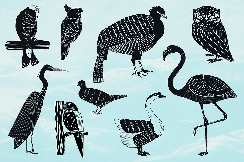 Black birds illustration clipart set psd