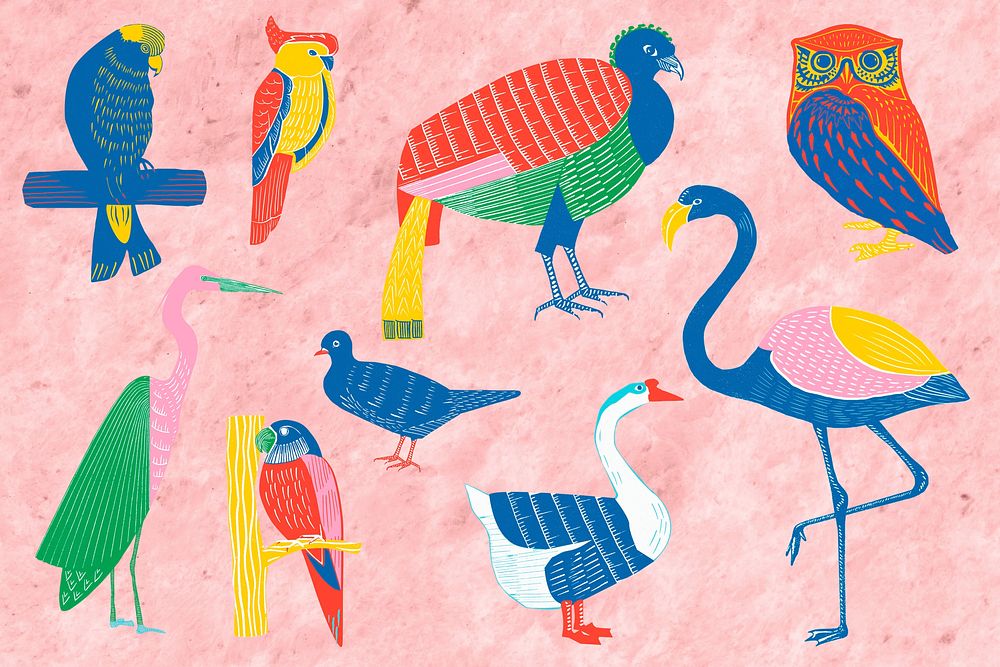 Colorful birds illustration clipart set psd