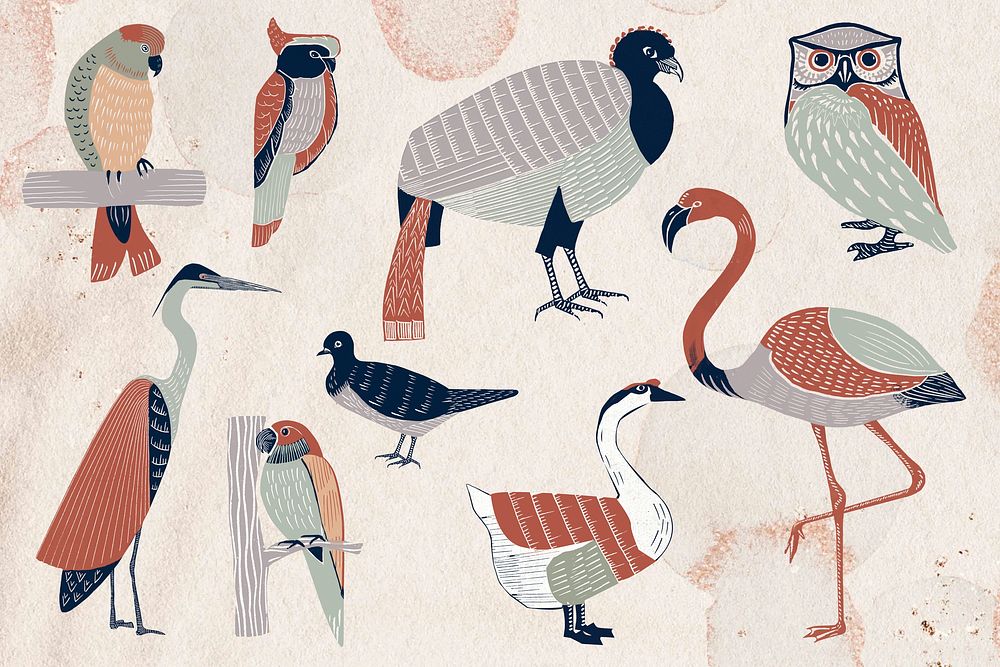 Wild birds illustration collage element set psd