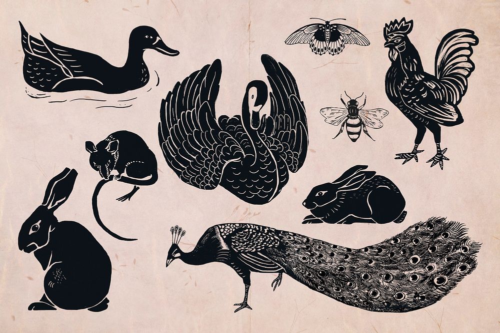 Wild animals illustration clipart set psd