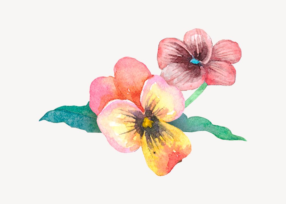 Watercolor pink flowers & leaves, illustration element psd