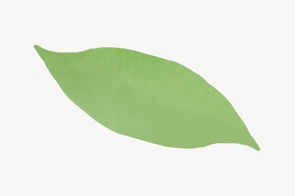 Watercolor leaf, green clipart psd