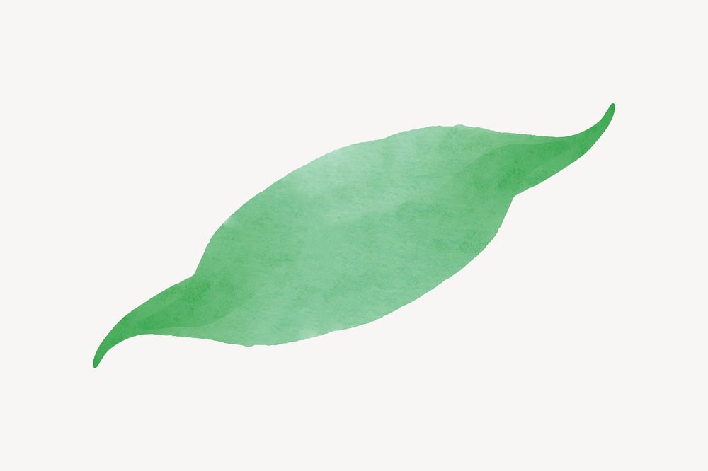 Watercolor green leaf, aesthetic clipart psd