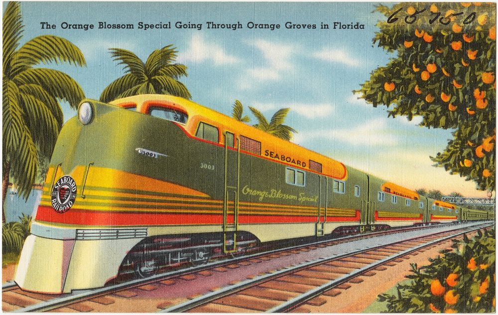             The Orange Blossom Special going through orange groves in Florida          