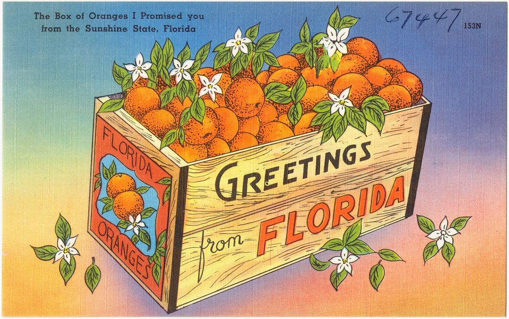             The box of oranges I promised you from the Sunshine State, Florida          