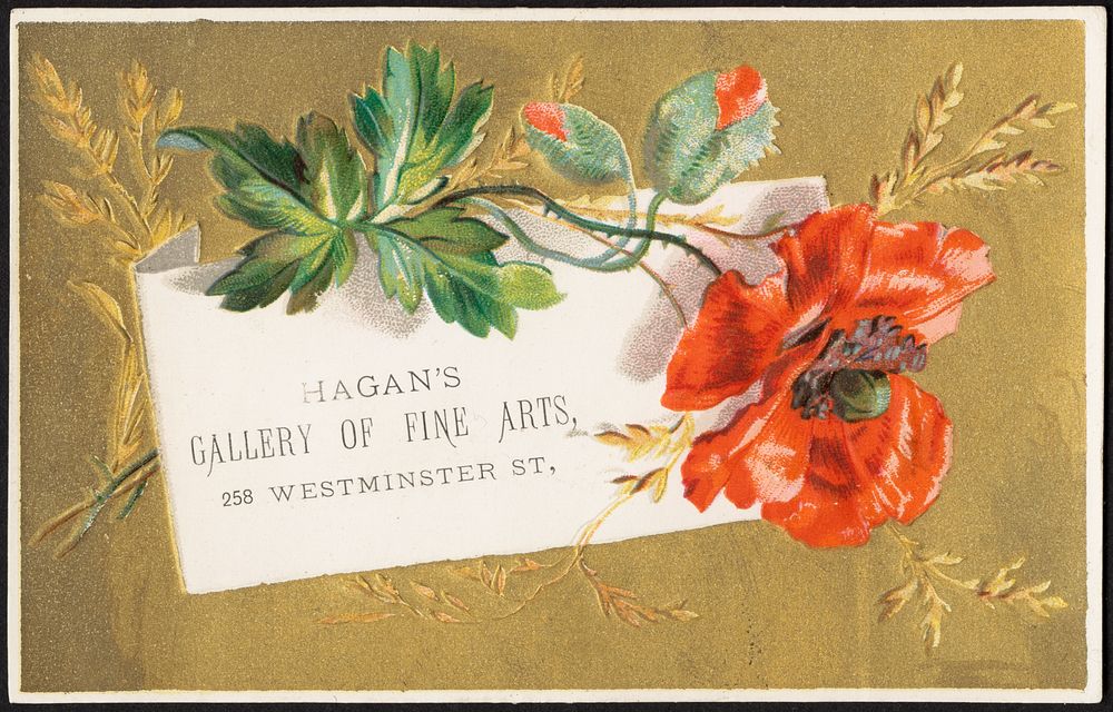             Hagan's Gallery of Fine Arts, 258 Westminster St.          