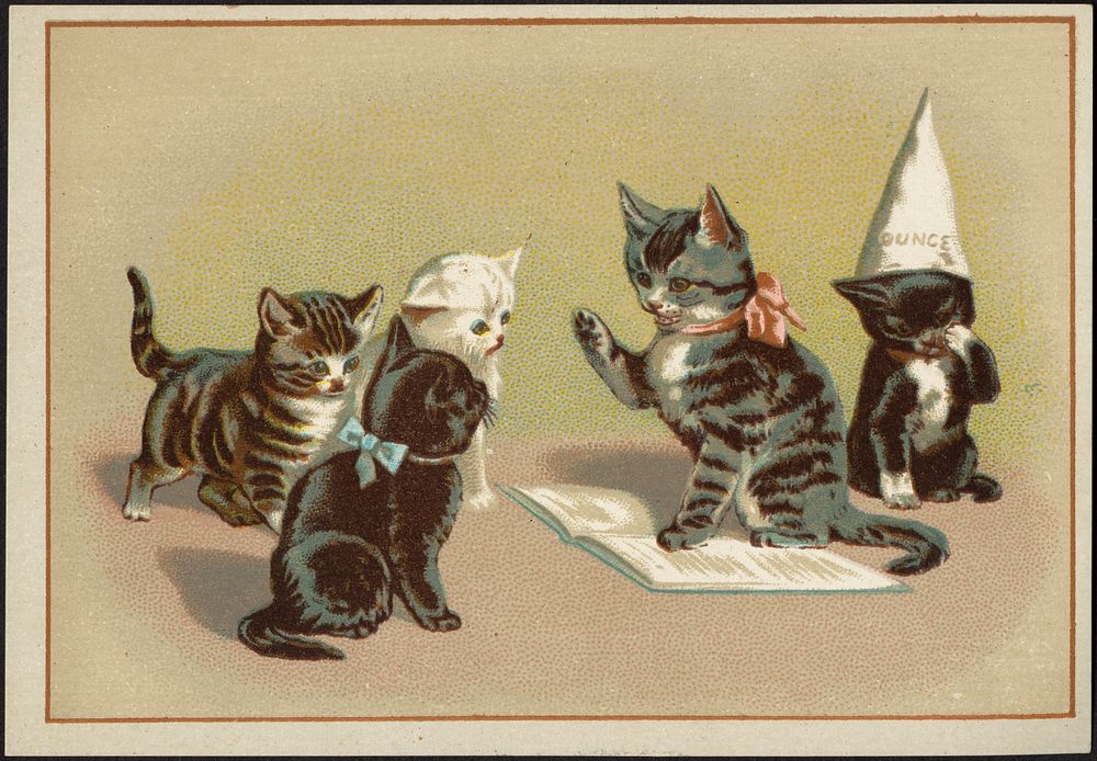             Five cats, one sitting with a dunce cap while one reads from a book to the other three.          