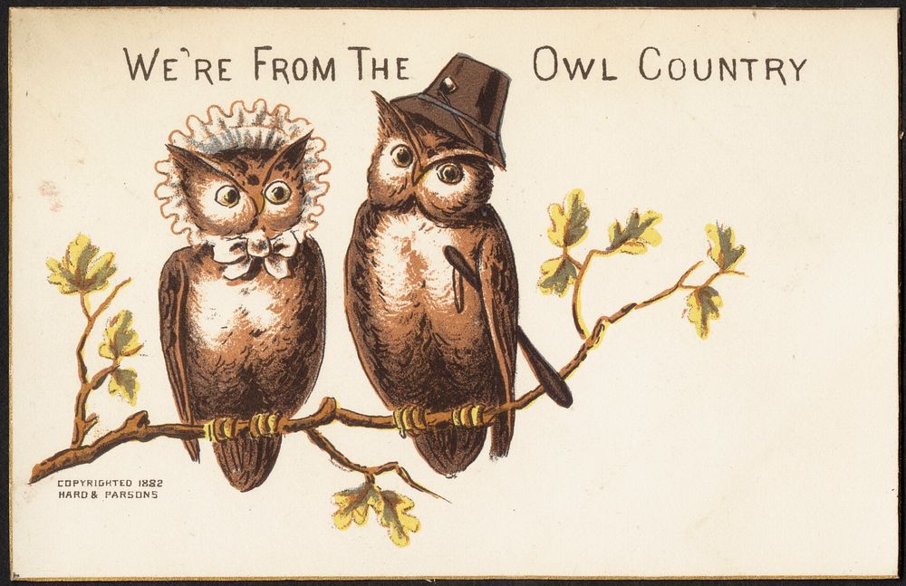             We're from the owl country.          