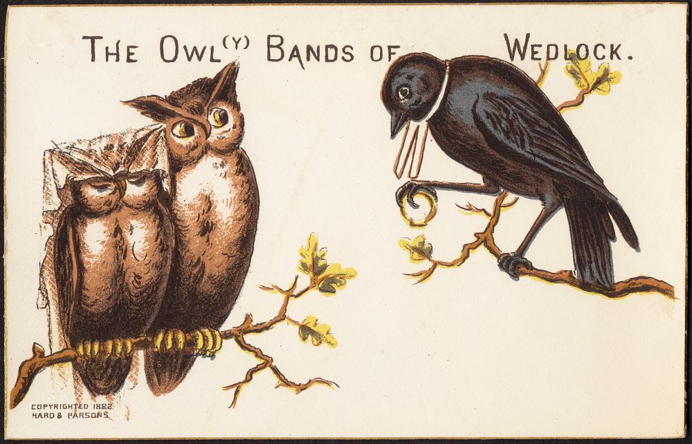             The owl(y) bands of wedlock.          