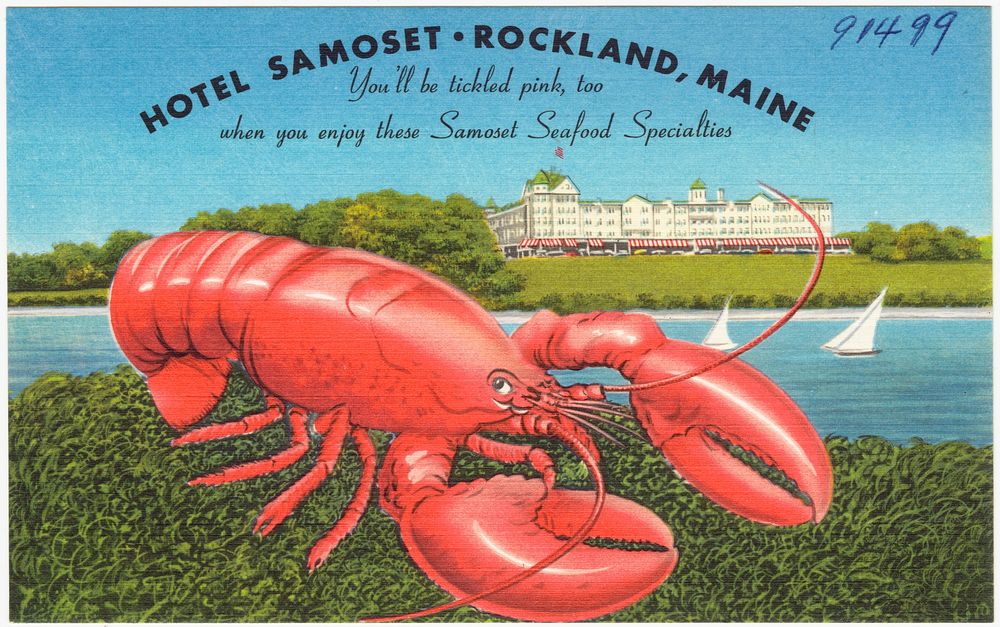             Hotel Samoset, Rockland, Maine. You'll be tickled pink, too, when you enjoy the Samoset Seafood Specialties     …