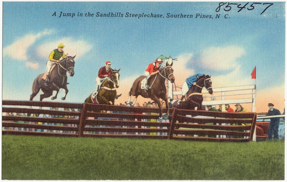             A jump in the Sandhills Steeplechase, Southern Pines, N. C.          