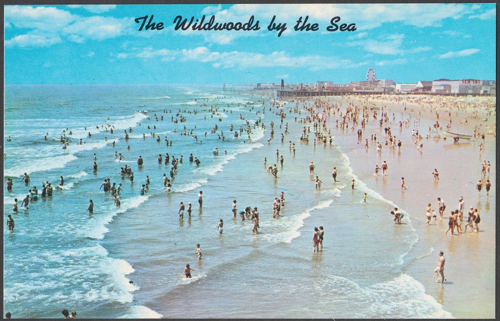             The Wildwoods by the Sea          
