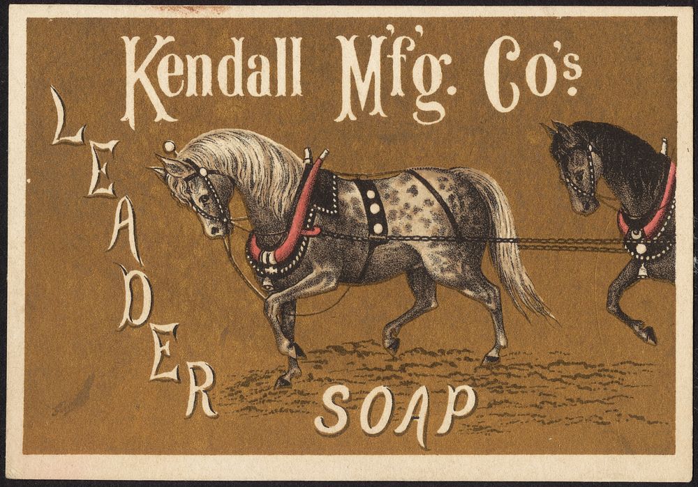             Kendall M'f'g Co.'s Leader Soap          