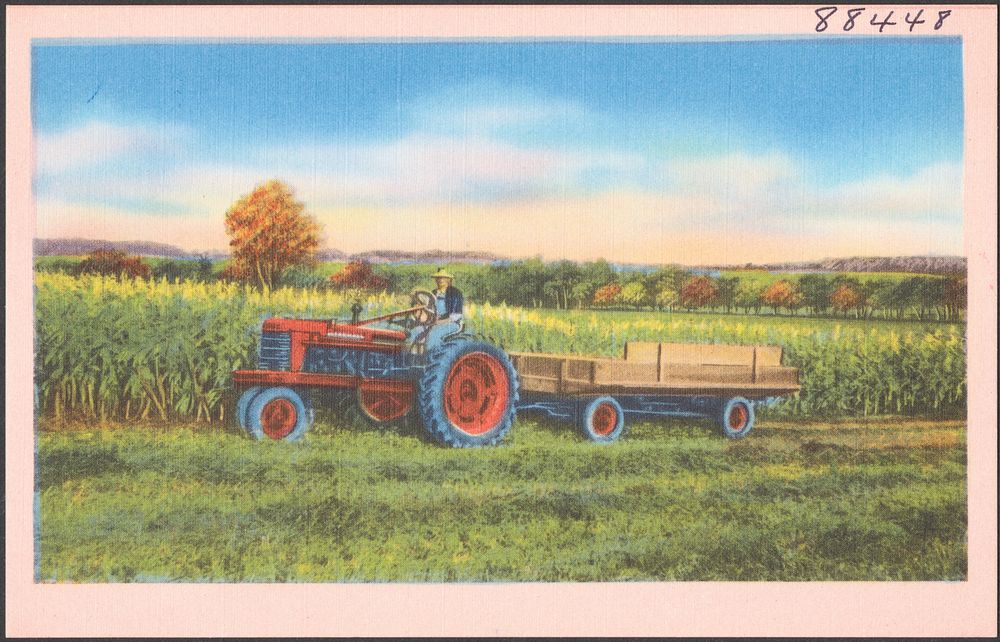             Tractor by a field of corn          