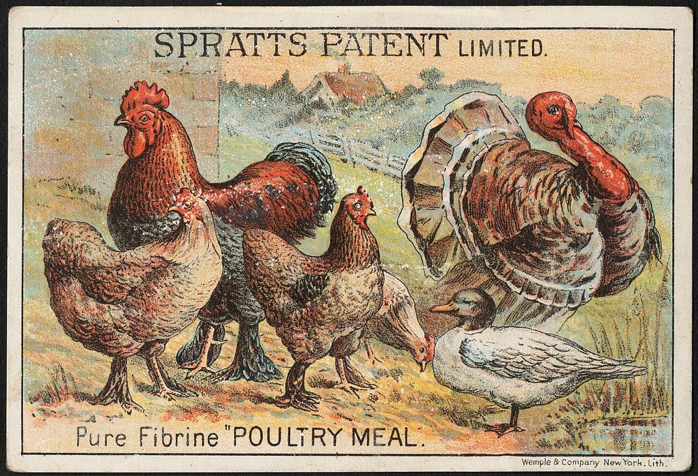             Spratt's Patent Limited. Pure Fibrine "Poultry Meal."          