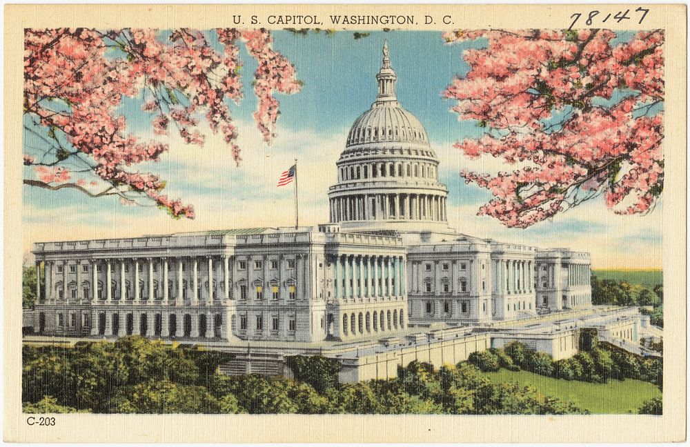             U. S. Capitol, Washington, D. C.          