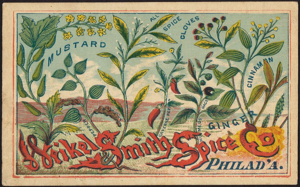             Weikel & Smith Spice Co., Philad'a. Mustard, all spice, cloves, cinnamon, pepper, cayenne pepper, numegs, mace…