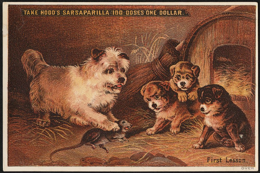             Take Hood's Sarsaparilla 100 doses one dollar. First lesson.          