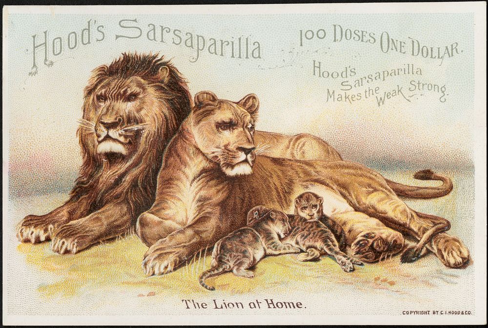             Hood's Sarsaparilla, 100 doses, one dollar. Hood's Sarsaparilla makes the weak strong. The lion at home.        …