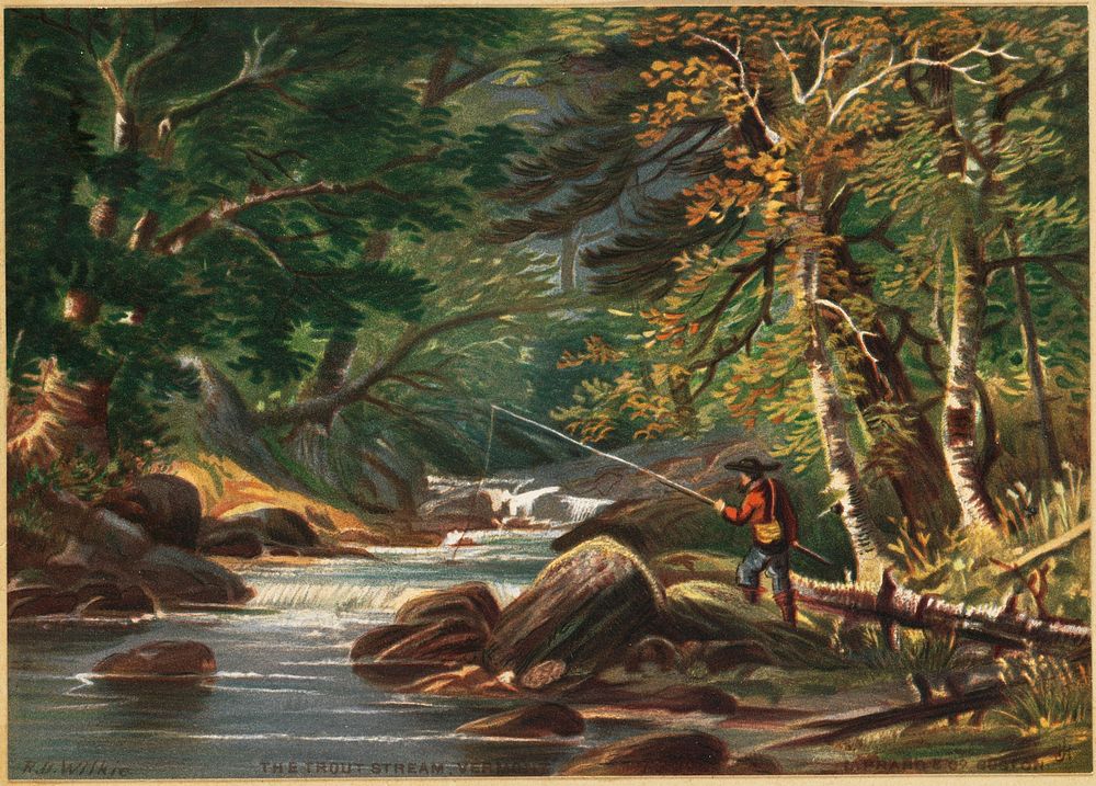             Vermont scenery, the trout stream, Vermont           by Robert D. Wilkie