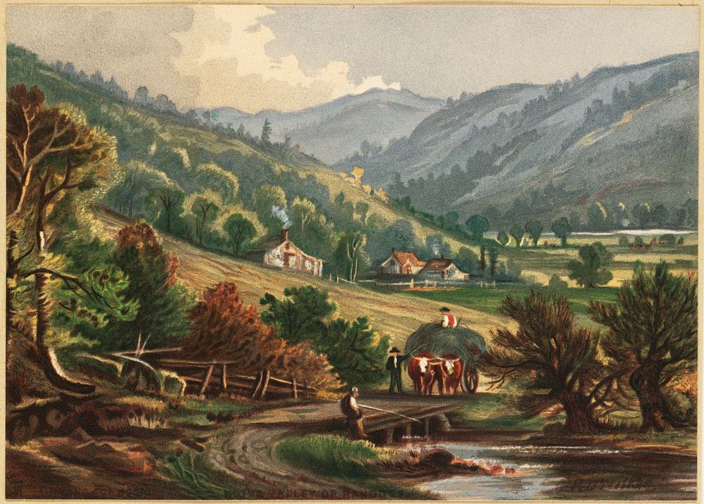             Vermont scenery, the valley of the Randolf           by Robert D. Wilkie