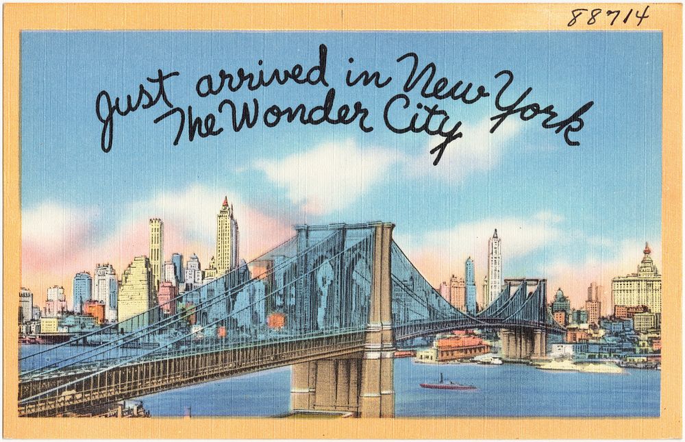             Just arrived in New York, the wonder city          