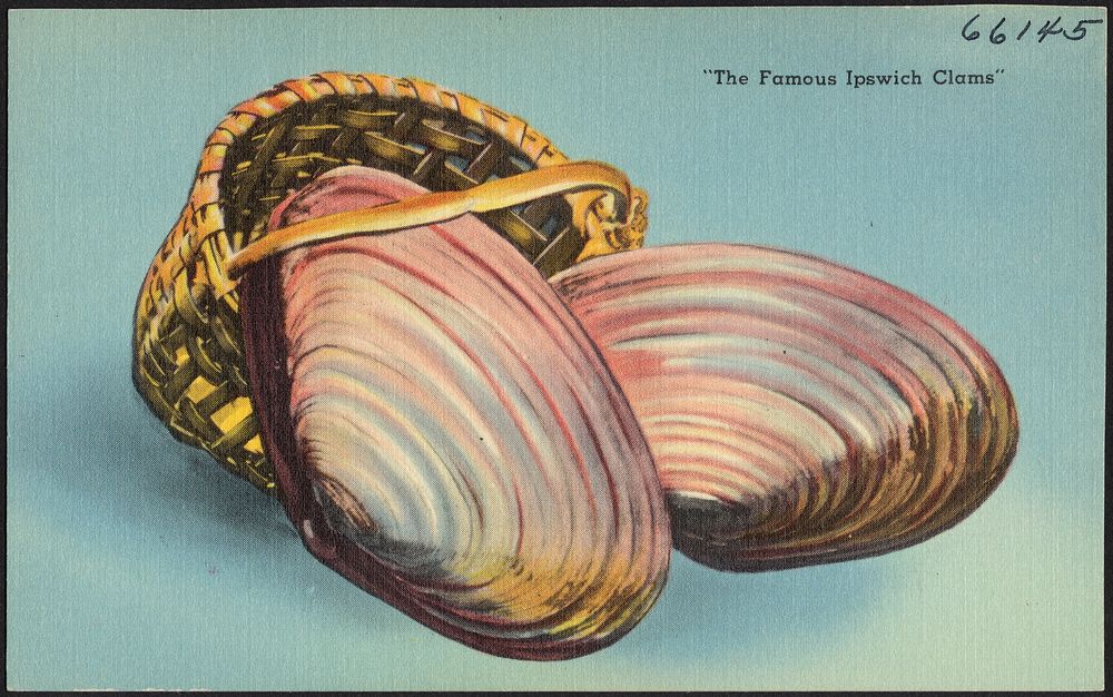             "The famous Ipswich clams"          