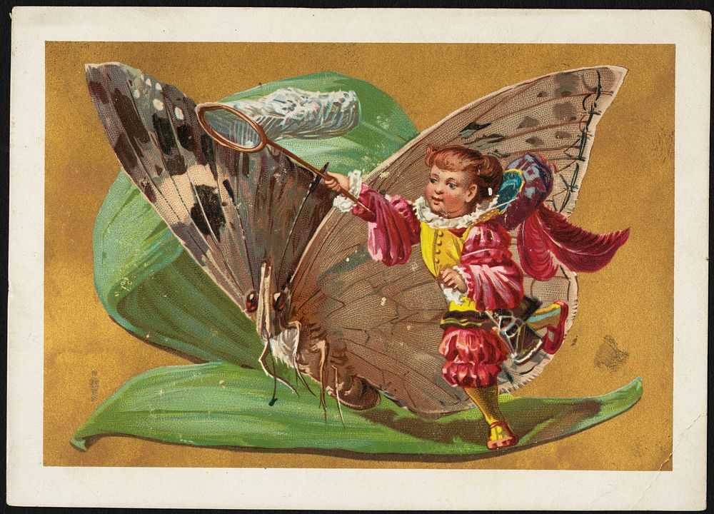             Child swinging net next to a butterfly sitting on a leaf          