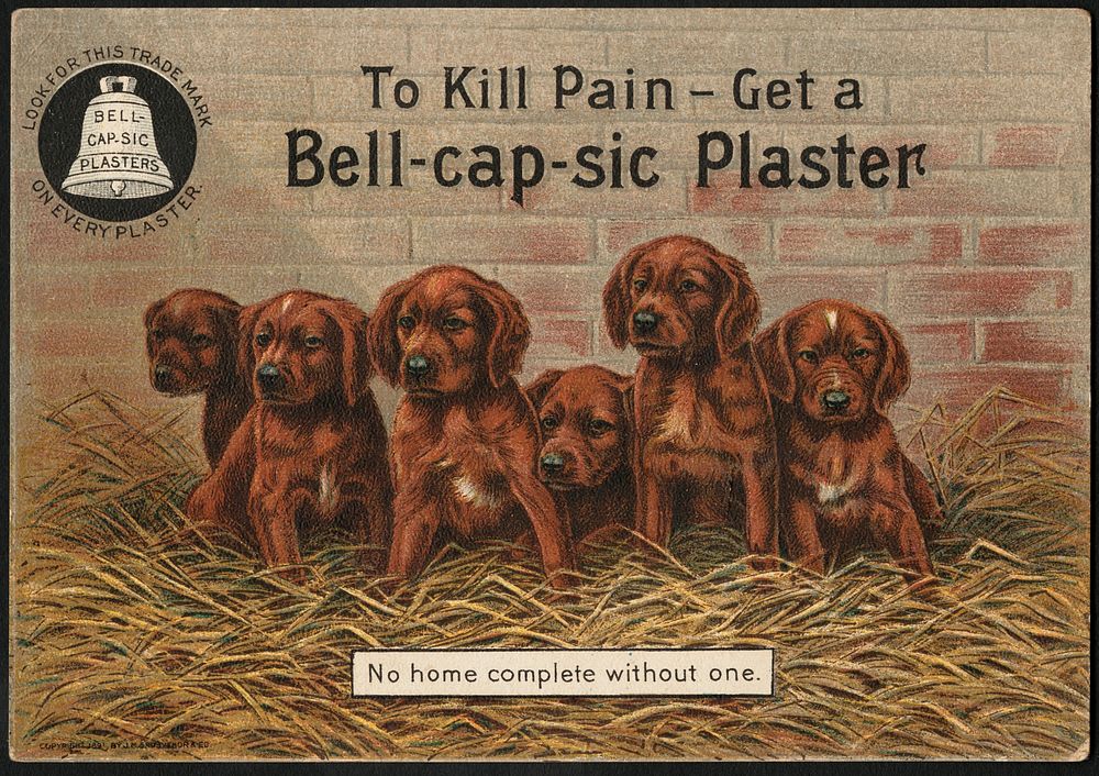 To kill pain - get a Bell-cap-sic Plaster - no home complete without one by J. M. Grosvenor & Co.