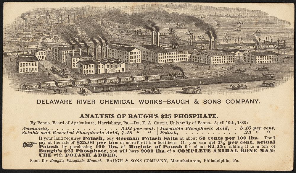             Delaware River Chemical Works - Baugh & Sons Company. Analysis of Baugh's $25 Phosphate          