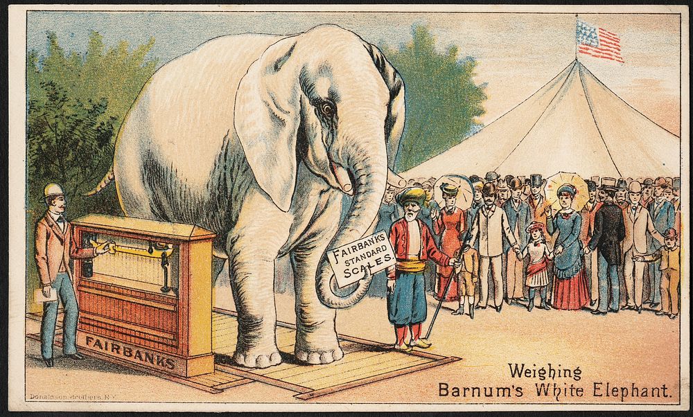             Weighing Barnum's white elephant - Fairbanks Standard Scales.          