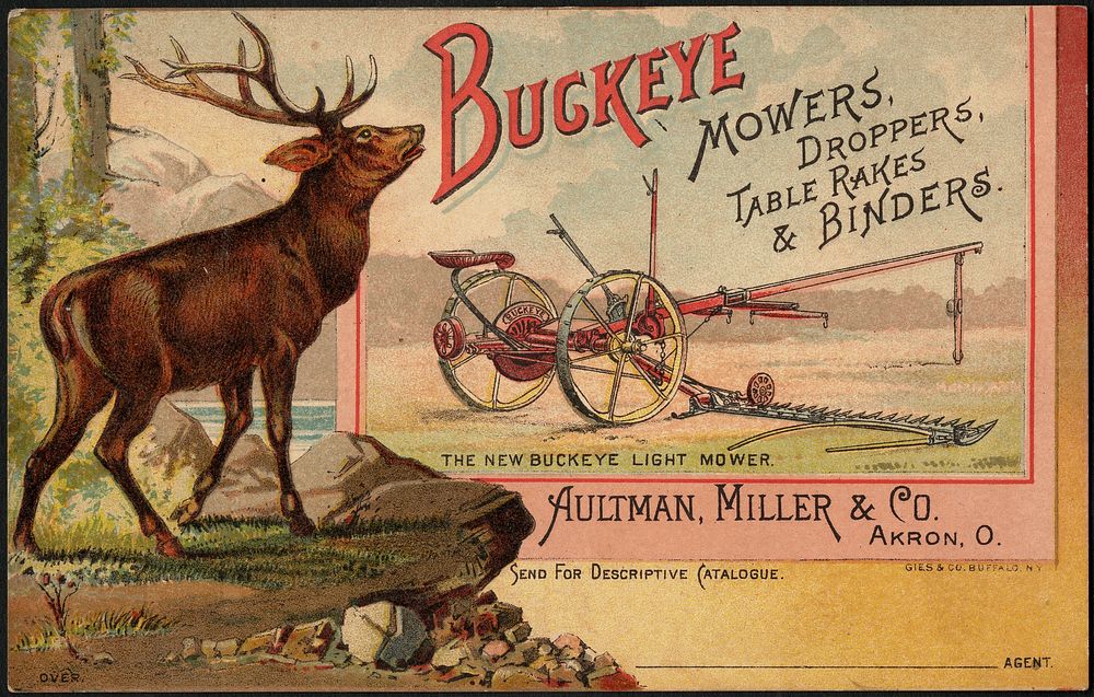             Buckeye mowers, droppers, table-rakes & binders.          