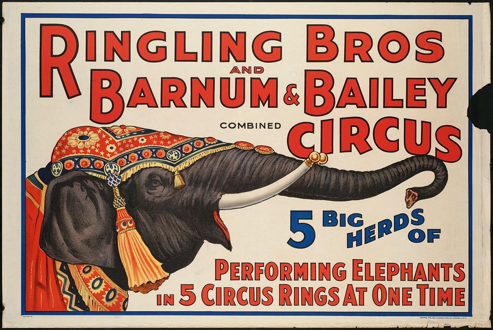             Ringling Bros and Barnum & Bailey Combined Circus : 5 big herds of performing elephants in 5 circus rings at one…