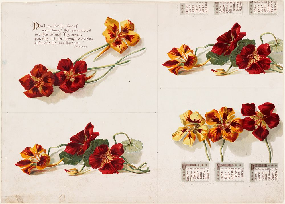             Calendar decorated with nasturtiums          