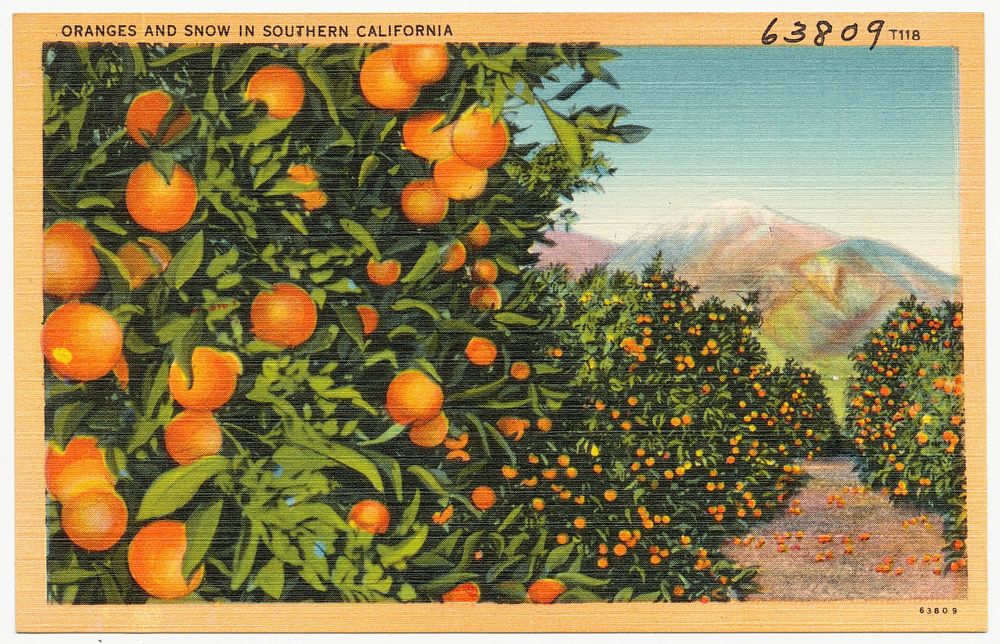             Oranges and Snow in Southern California          