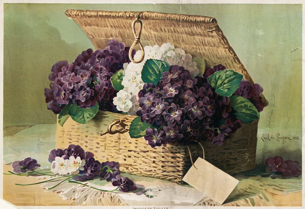             Invoice of violets          