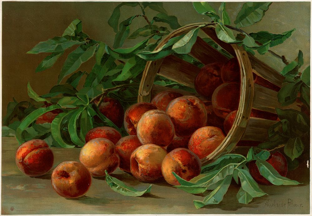             Peaches In a basket          