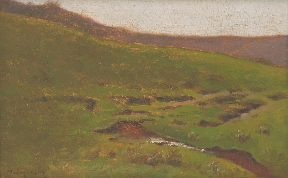 Landscape with a stream by László Mednyánszky