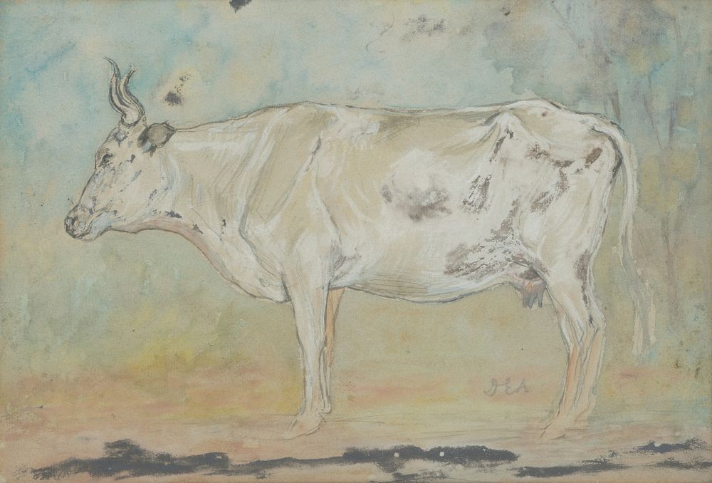 White cow, Lajos Deák Ébner