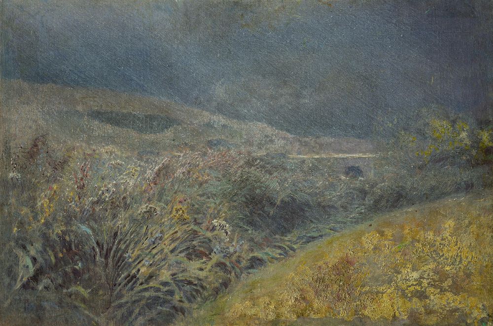 Motif from the belianske tatras by László Mednyánszky