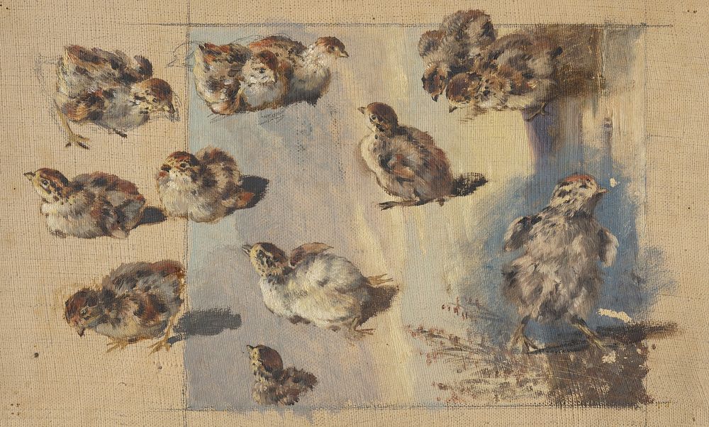 Study of chicks  by Friedrich Carl von Scheidlin