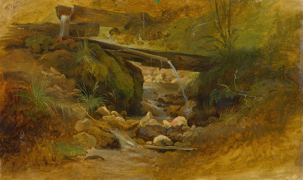 Mountain creek  by Friedrich Carl von Scheidlin