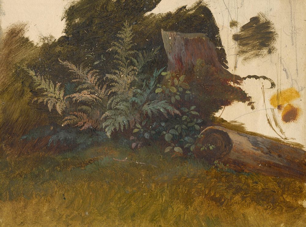 Mountain vegetation  by Friedrich Carl von Scheidlin