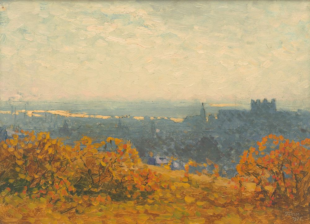 View of bratislava, Jindřich Tomec