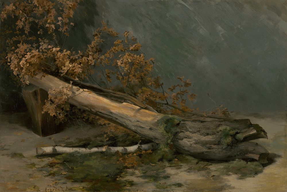 Study of dry tree by Lajos Csordák
