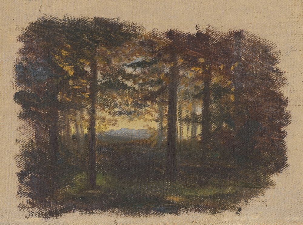 In the woods before sunset, Jan Novopacký