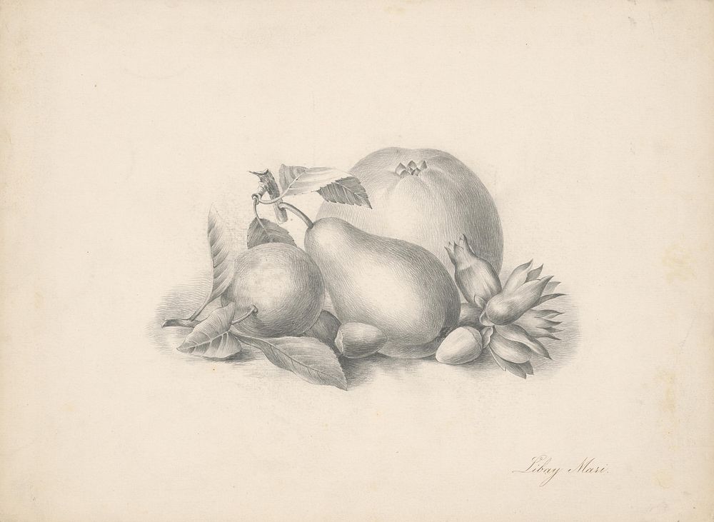 Still life with fruit