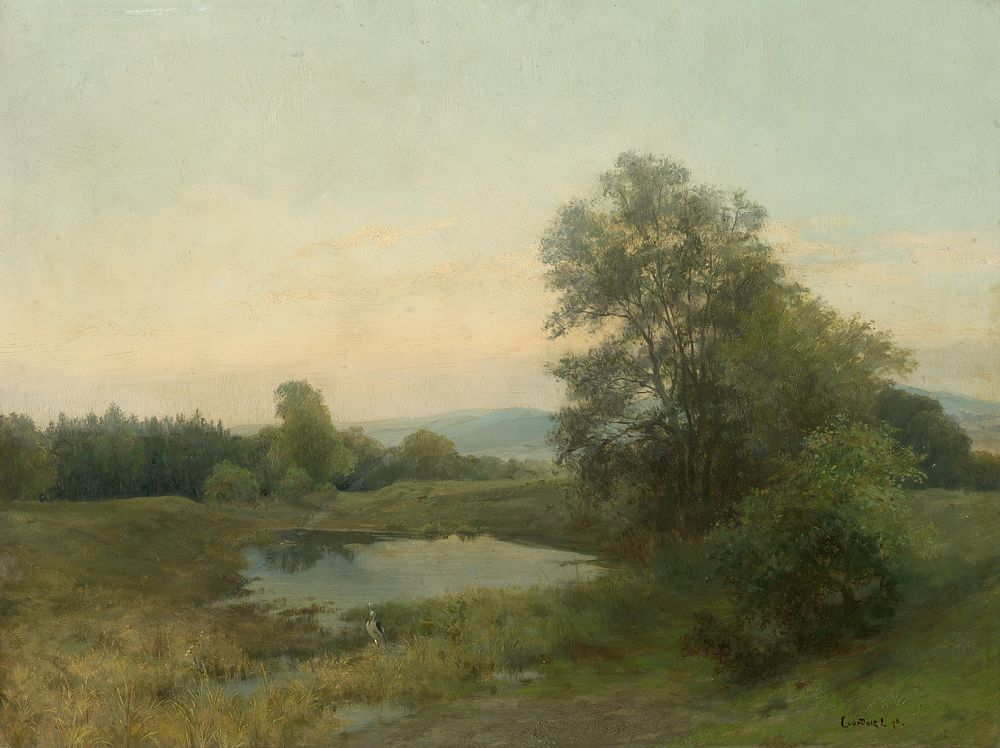 A landscape with a swamp by Lajos Csordák